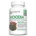 Allied Life Hoodia Gordonii  Natural Vegan Appetite Suppressant - 60 Capsules