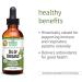 Botanic Choice Oil of Oregano Liquid Extract - Alcohol Free Herbal Supplement, Traditional Support for Immune and More - 1 Fl. Oz. - Buy Online on GoSupps.com