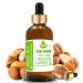 Pure Herbs Brazil Nut Oil (Bertholletia excelsa) Pure and Natural Therapeutic Grade Carrier Oils with Pipettes (50 ml)