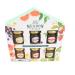 Temas Mixed Selection Flavoured Preserves Gift Set (Pack of 6) - Includes Strawberry Mandarin Apricot Lemon Ginger & much more | 6 x 42g