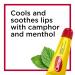 Carmex Lip Balm Tubes (Pack of 12) - Soothing Moisture for Healthy Lips | International Shipping Available - Buy Online on GoSupps.com