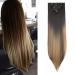 Silk-co Clip in Hair Extensions 8Pcs 26inch Straight Synthetic Heat Resistant Hairpiece Extension -Natural Black to Blonde Ombre 26 Inch Straight #Natural Black to Blonde Ombre