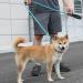yeesport Dog Leash Nylon 5.9ft - Heavy Duty Nonslip Outside Outdoor Running Jogging Padded Handle Puppy Training Leash Blue M - Buy Online on GoSupps.com