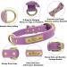 Senristar Personalized Leather Dog Collar with Engraved Name Tag Durable & Stylish for Small to Large Dogs | Light Violet Size S (28-34 cm) - Buy Online on GoSupps.com