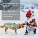 Kuoser Warmth Dog Coat - Windproof Reflective Jacket for Small & Large Dogs - Winter Outdoor Zipper Design - Green XS - Buy Online on GoSupps.com