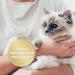 Felisept Home Comfort Elbe - Natural Cat Sedative with Catnip for Stress Relief | Safe Non-Pheromone Solution for Cats - Buy Online on GoSupps.com
