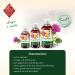 ChronoBalance 500 ML Milk Thistle Oil for Dogs as a Natural Food Supplement That Promotes Tissue and Coat Change Vitamin E Omega-6 and Omega-9 - Buy Online on GoSupps.com