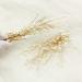Pearl Bridal Hair Clips - 2pcs Gold Vine Wedding Hair Accessories - Buy Online on GoSupps.com