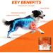 Hip and Joint Supplement for Dogs Glucosamine for Dogs Mobility Flexibility & Comfort Support Hip and Joint Supplement with Chondroitin MSM Vitamins C & E 120 Chews Chicken Flavored - Buy Online on GoSupps.com