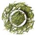 GOARTEA 1000g (35.2 Oz) Anji Bai Cha Long Jing White Dragon Well Loose Spring Leaf Chinese GREEN TEA Th Vert
