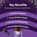 Acai Berry Antioxidant Support Weight Loss Supplement - 60 Capsules for Immune System, Energy, Cognitive Health - Men & Women - 60 Servings - Buy Online on GoSupps.com