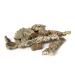 sphagnum-shop.com Cork pieces cork bark natural 1 kg for decoration and terrariums 1000 g