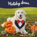 Kuoser Dog Neckerchiefs & Bandanas - Stylish Christmas Dog Apparel for All Breeds - Buy Online on GoSupps.com