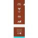 COOLA Organic Sunless Self Tanner Body Firming Lotion 6 Fl Oz - Dermatologist Tested Anti-Aging Vegan & Non-GMO Pina Colada Variant - Buy Online on GoSupps.com