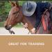 Iron Horse Hemp Hand-Crafted Horse Treats with Flax Seed and Hemp Seed Meal: Nutritious Oven-Baked Horse Chews for Training & Rewards Small Batch Easy to Digest Simple Ingredients - Buy Online on GoSupps.com