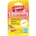 Carmex Naturally Stick Watermelon - Natural lip care for a smooth result - 1 piece of 4.25g 23232 4.25 g (1 -pack) watermelon