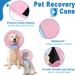 Supet Protective Pet Collar - Plastic Safety Collar for Cats & Small Dogs (Pink S - Neck 11.5-12.7cm) | International Shipping - Buy Online on GoSupps.com