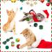 Christmas Cat Toys: Collapsible Tunnels & Interactive Feather Toy Set for Indoor Cats & Kittens - Buy Online on GoSupps.com