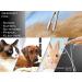 Pet Hair Remover & Hair Plucker for Animals - Effortless Cleaning Tool for Pet Owners | Shop Now - Buy Online on GoSupps.com