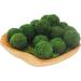 Kaveno Green Moss Decorative Balls - Set of 12 Natural Green Spheres 2.4 - Buy Online on GoSupps.com