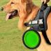 Buy Zuofeng Reisenapf Foldable Dog Water Bowl - Portable Silicone Feeding Set for Cats & Dogs | 3 Colors: Blue Green Red | International Shipping Available - Buy Online on GoSupps.com