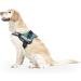 K9 Powerharness L/1 - Dark Green | Best International Shipping for Dog Harnesses - Buy Online on GoSupps.com