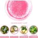Lip Scrubs Exfoliator Moisturizer-New Exfoliator Scrub and Moisturizer Kit. (1PC) - Buy Online on GoSupps.com