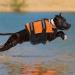 Reflective Dog Life Jacket for Small Dogs (0-3 kg) - Size XXS Orange | Safe & Stylish Water Safety Gear - Buy Online on GoSupps.com