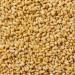 ?????? gr. Pine Nuts. r g i .    r   l     d Signature. (?? ?? ds) - Buy Online on GoSupps.com