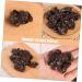 TOPBATHY 10pcs Simulation Vegetables Agarics Props Fake Agarics Vegetables Model Lifelike Veggies Vegetable Photography Props Small Agarics Decoration Wall Fake Black Fungus Food Pvc Dark Brown 5.00X4.20X1.00CM - Buy Online on GoSupps.com