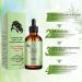 FEXPDL Rosemary Oil For Hair Growth 60ml Organics Rosemary Mint Scalp & Hair Strengthening Oil Rosemary Oil for Hair Growth Hair Growth Oil For Face Hair Care Eyelash & Eyebrow Growth Brown-1 - Buy Online on GoSupps.com