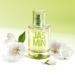 SOLINOTES Jasmine Flower Perfume for Women - Eau De Parfum | Delicate Floral and Soothing Scent - Made in France - Vegan - 1.7 fl.oz - Buy Online on GoSupps.com