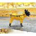 Minezi High Collar Waterproof Dog Raincoat Set - Reflective Strips & Zippers - Yellow XXX-Large (Back Length: 56-59cm) - Ideal for All Dog Breeds - Buy Online on GoSupps.com
