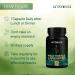 Ambrosial Milk Thistle Liver Detox |Silymarin Milk Thistle Capsules with Dandelion Root & Other Natural Herbs | High Strength Herbal Antioxidant Complex for Liver Support (Pack of 2-120 Capsules) 60 count (Pack of 2) - Buy Online on GoSupps.com