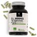 Moringa Organic *Plantae* 90 Herbal Capsules * Nutrient Concentrate * Superfood + Organic + Energy *