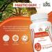 Logic Nutra Mastic Gum Supplement (Pack of 3) - Buy Online on GoSupps.com