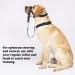 No-Pull Dog Training Halter - XL Soft Handle Leash with Expert Instructions | Marineblau - Buy Online on GoSupps.com