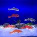 Artificial Floating Fish Decoration - 5pcs Aquarium Model for Terrarium & Landscape Crafts - Buy Online on GoSupps.com