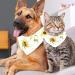 Shop Stylish Dog & Cat Triangular Scarves - Colorful 2-Piece Set for All Sizes - Buy Online on GoSupps.com