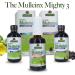 Mullein-X Throat Spray 2fl oz | Soothes Throat & Clears Mucus | Gluten-Free, Non-GMO, Vegetarian | Natural Peppermint Flavor - Buy Online on GoSupps.com