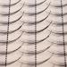 Scala Pro Granting 3D Mink Phoenix Tail Design Individual False Eyelashes Cluster 5 Root 0.07 C Curl Eye Lash Extension Health Makeup Tools (13MM)
