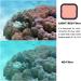 3-Pack Dive Filters for GoPro Hero 5/6/7/2018 Super Suit Housing - Color Correction for Scuba Diving & Underwater Media - Buy Online on GoSupps.com