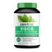 Zenwise EGCG Green Tea Extract 725mg with Vitamin C. High antioxidant Support Free Radical Scavenger Plus Energy Immune Heart and Cognitive Support Vegan Non-GMO 72 Count