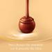 Lindt Lindor Assorted Chocolate Truffles Box - 337g | Buy Internationally | Gourmet Chocolates Online - Buy Online on GoSupps.com