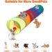Shoze Cat Tunnel Collapsible Cat Toys Tunnel with 2 Peek Holes Rainbow Tunnel for Indoor Cats Pet Interactive Play Tunnels with a Play Ball Exercising Hiding Training and Running with Fun - Buy Online on GoSupps.com