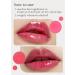 Nooni Appleseed Lip Oil Set - Applecherry & Appleplum Duo | Apple Seed Oil, Lip Stain Gift Set for Chapped Lips - 14 Red Shades - Buy Online on GoSupps.com