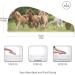 Super Absorbent Running Ponies Hair Towel 2 Pack - Quick Dry Hair Turbans for Women & Girls - Perfect for Foals & Horses - Buy Online on GoSupps.com
