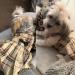 PUPTECK Classic Plaid Dog Dress for Medium Dogs - Cute Puppy Clothes Outfit - Buy Online on GoSupps.com