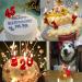 Red Birthday Candle Number 4 - Roman Numeral Style for 4th Birthday Celebration - Buy Online on GoSupps.com