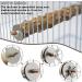 Bird Cage Accessories - 5-Part Set of Bird Toys Swing & Wood Seat Sticks for Parrots - Buy Online on GoSupps.com